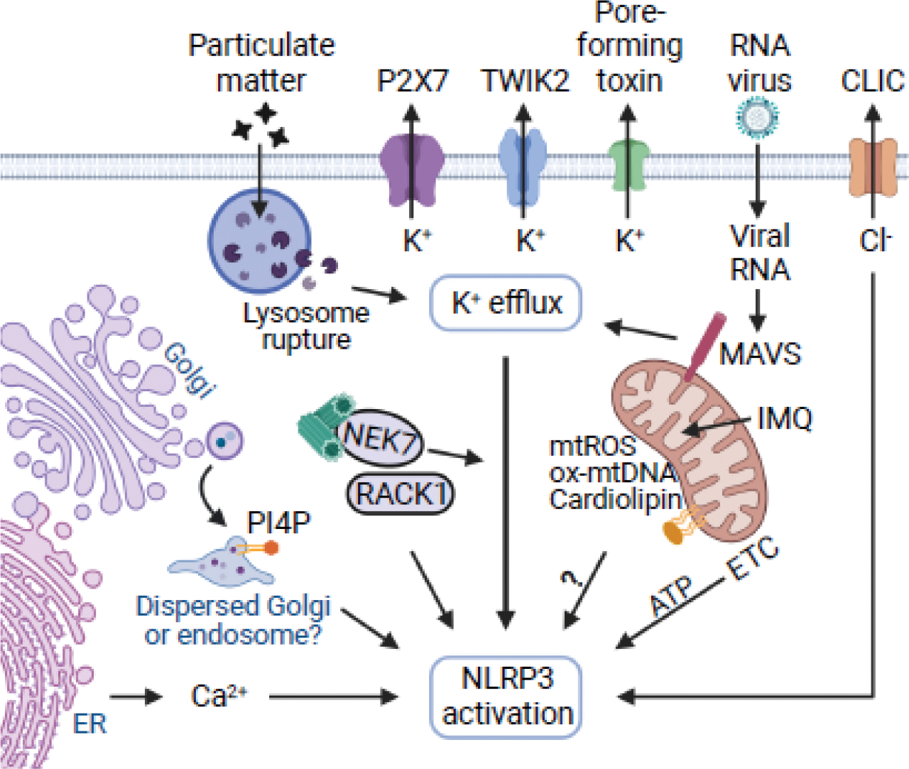 Figure 2.