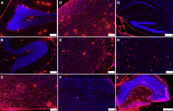 Figure 6