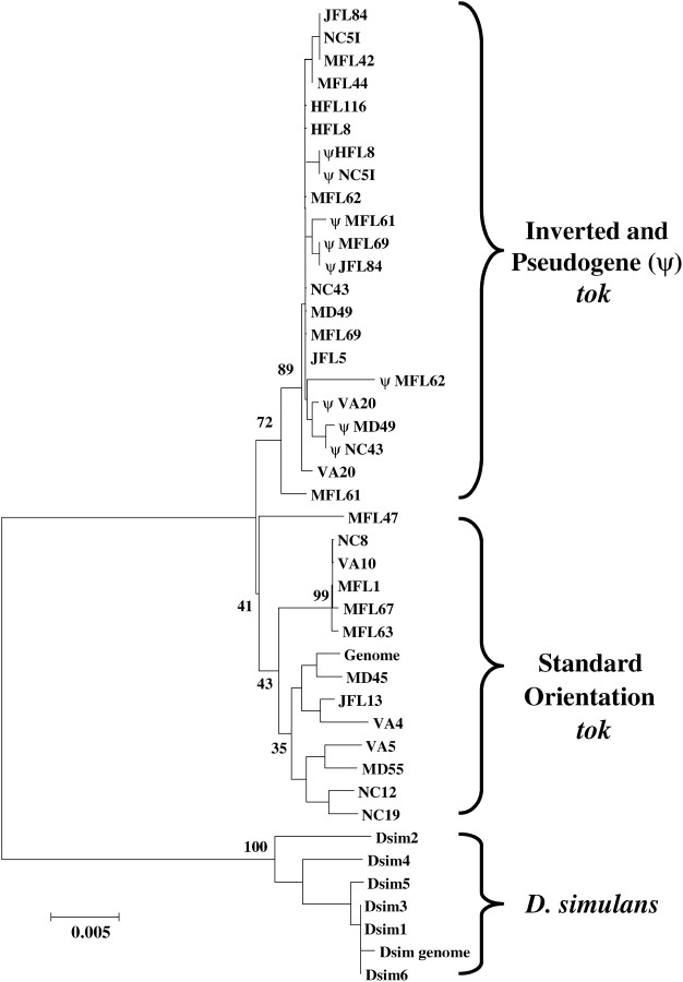 Figure 5.—