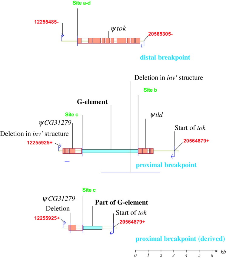 Figure 3.—