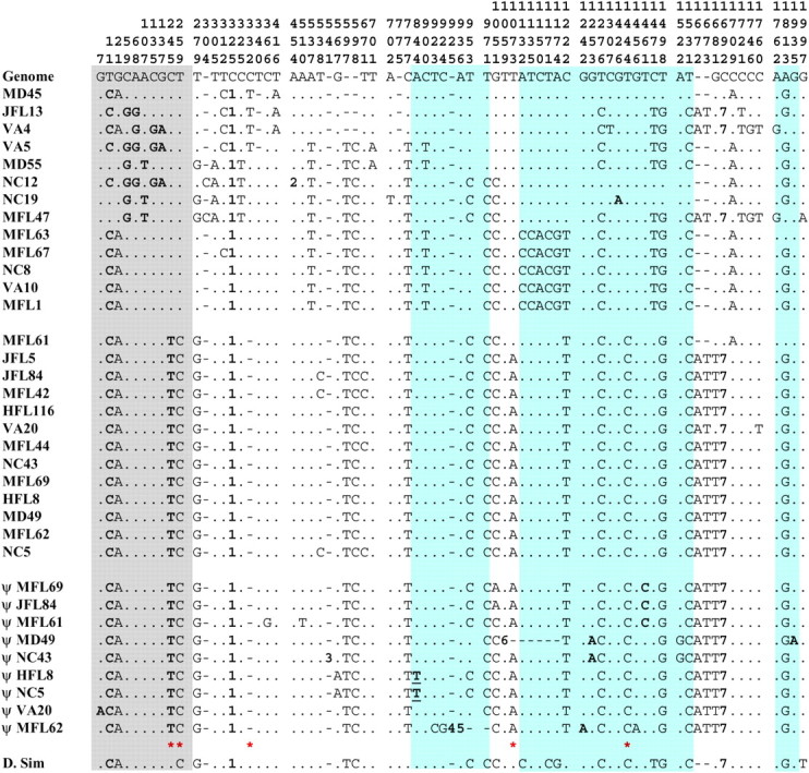 Figure 4.—