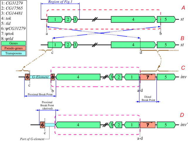 Figure 2.—