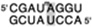 graphic file with name nihms677932t10.jpg