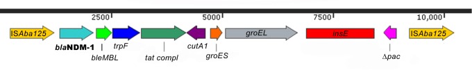 FIGURE 1