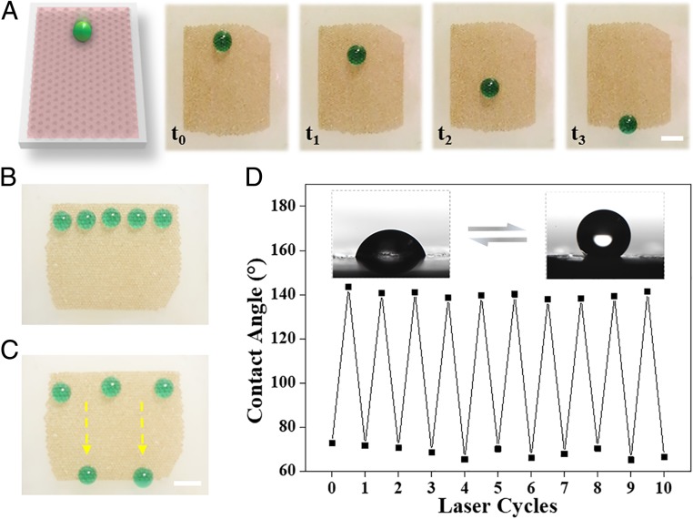 Fig. 3.