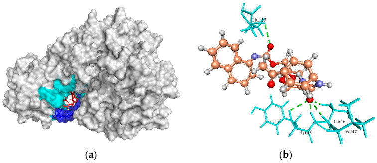 Figure 6