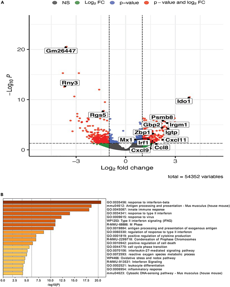 Figure 2