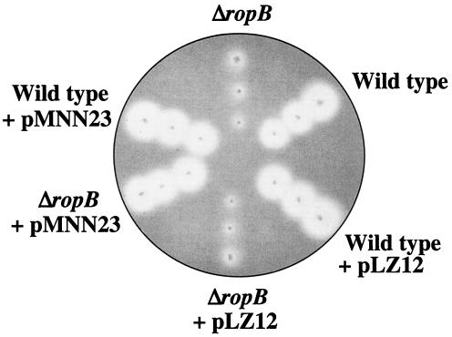 FIG. 6.