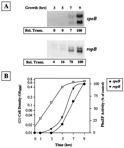 FIG. 5.