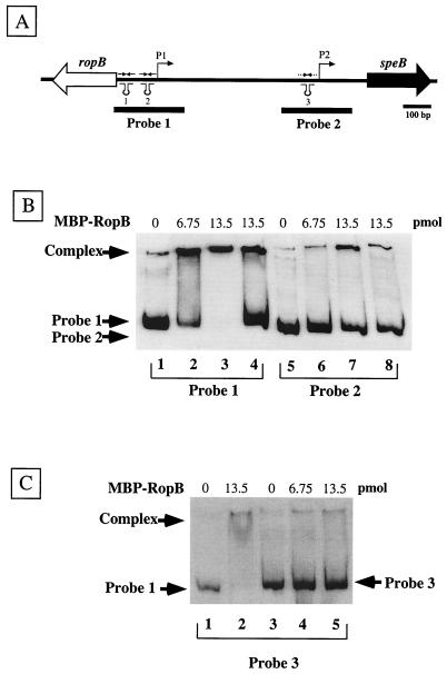 FIG. 4.