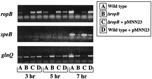 FIG. 8.