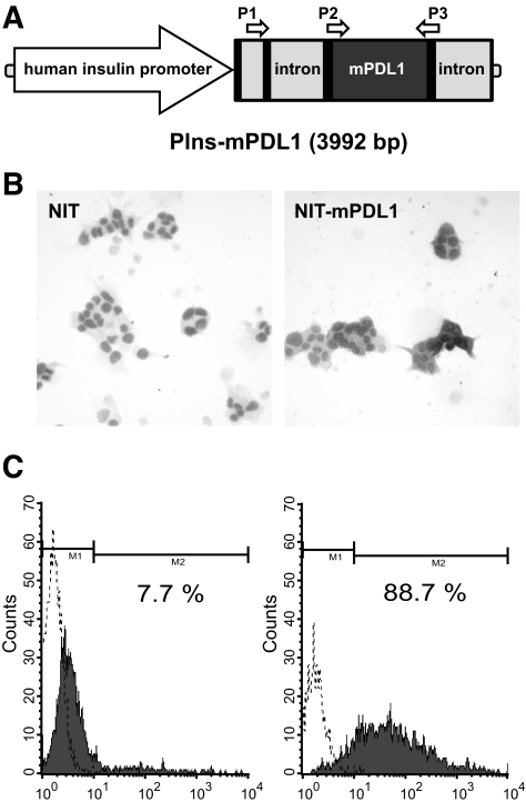 FIG. 2.