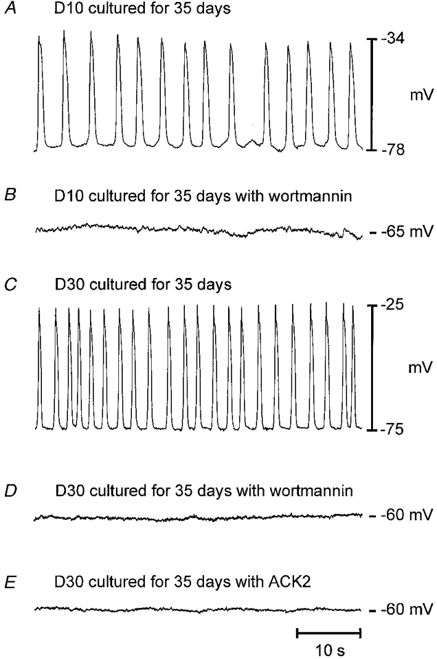 Figure 10