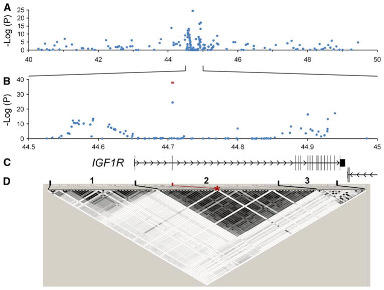 Fig. 2