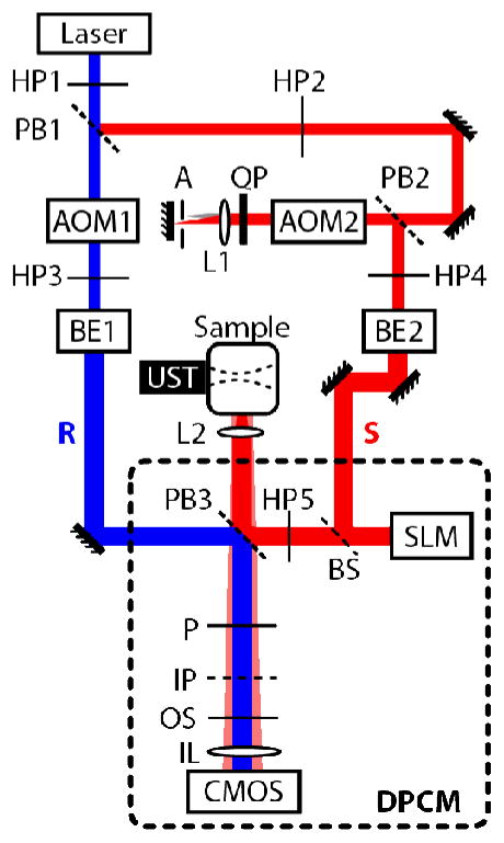 Fig. 1