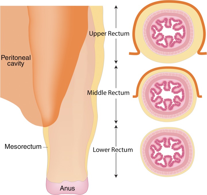 Figure 12.