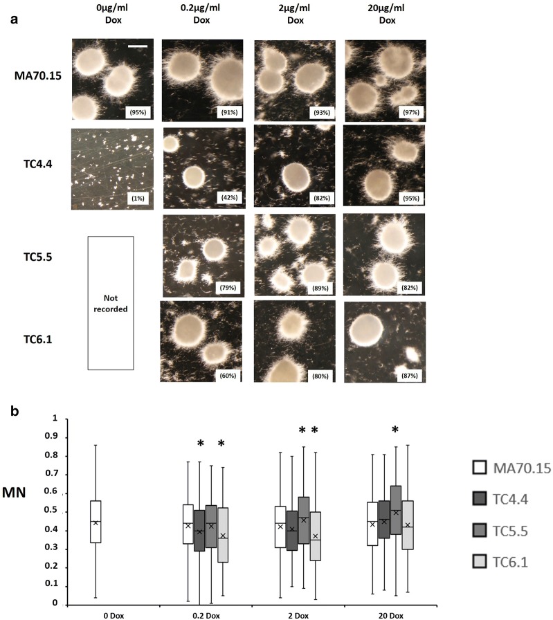 Fig. 6