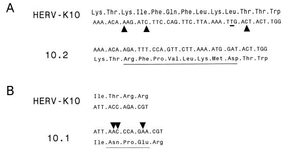 FIG. 11