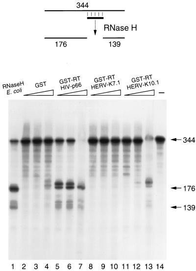 FIG. 8