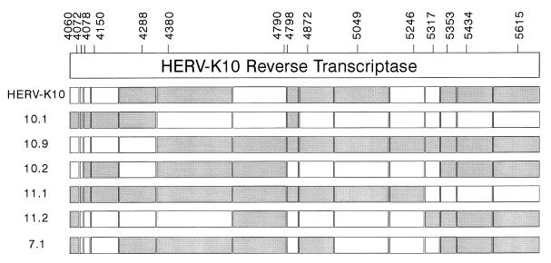 FIG. 10