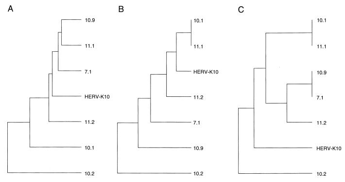 FIG. 9