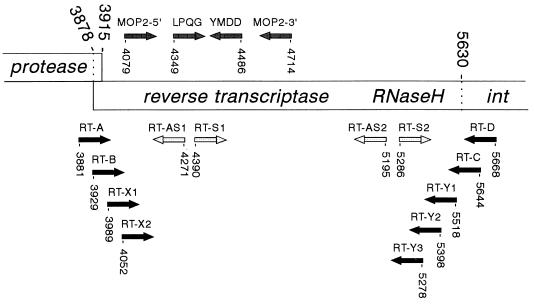 FIG. 1