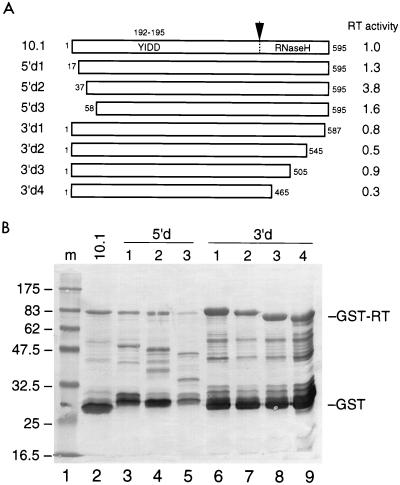 FIG. 7