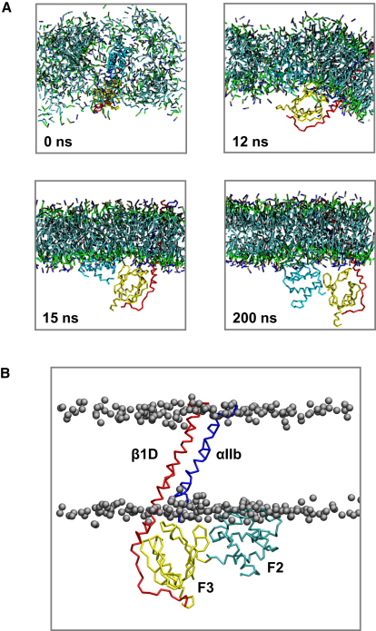 Figure 6