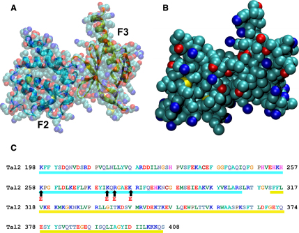 Figure 1