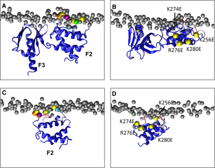 Figure 4