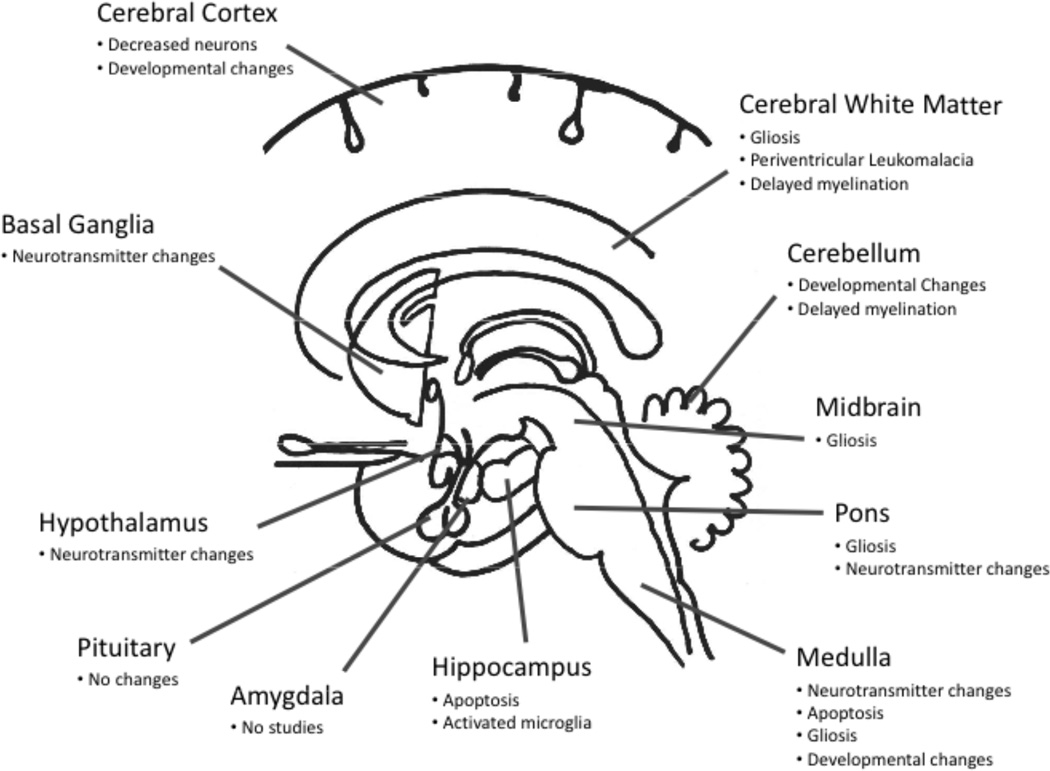 Fig. (1)