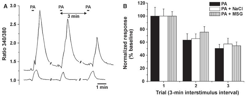 Fig. 8