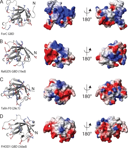 FIGURE 3.