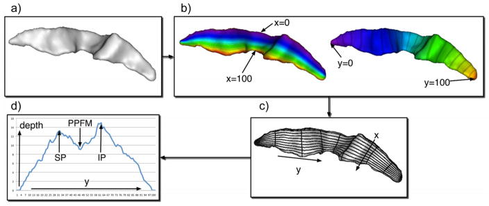 Fig. 3