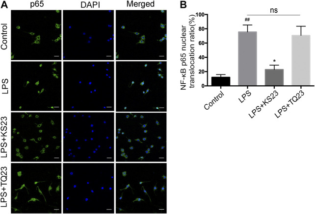 FIGURE 6