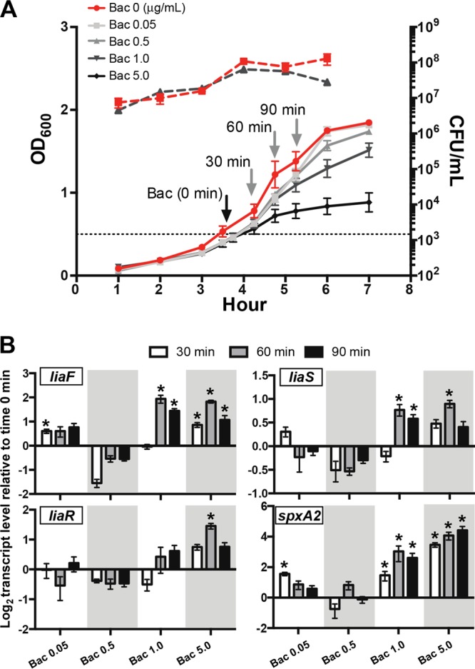 FIG 1