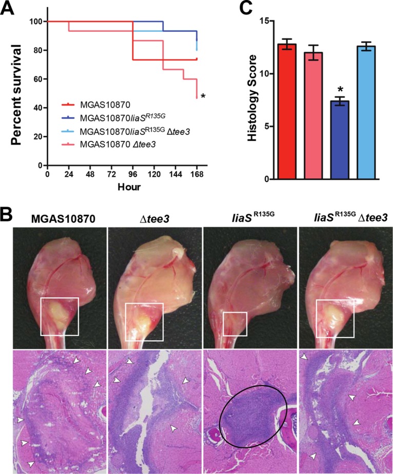 FIG 4