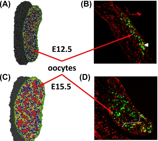 Figure 10.