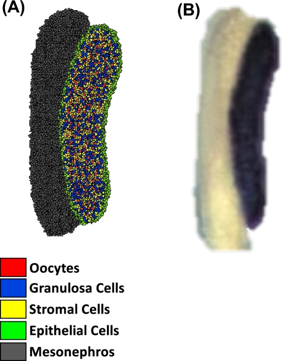 Figure 3.