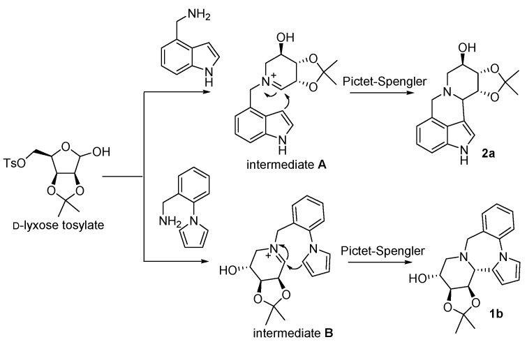 Scheme 3