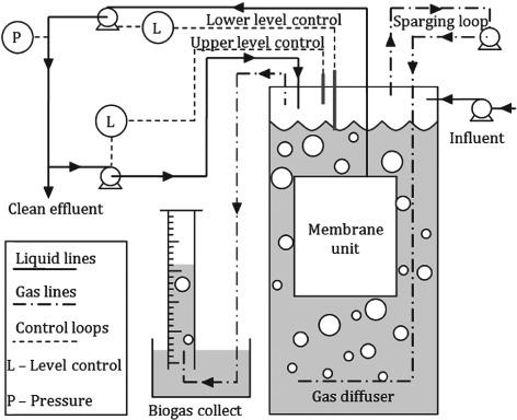 JCTB-4586-FIG-0001-b