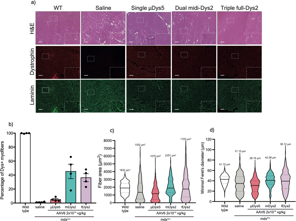 Extended Data Fig. 6: