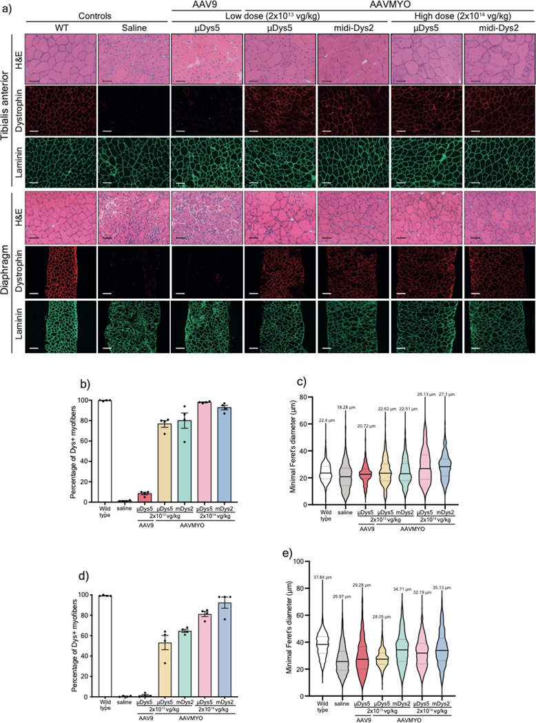 Figure 4: