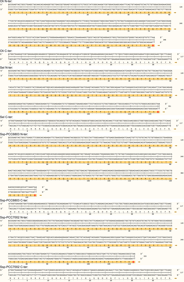 graphic file with name nihms-2010712-t0022.jpg