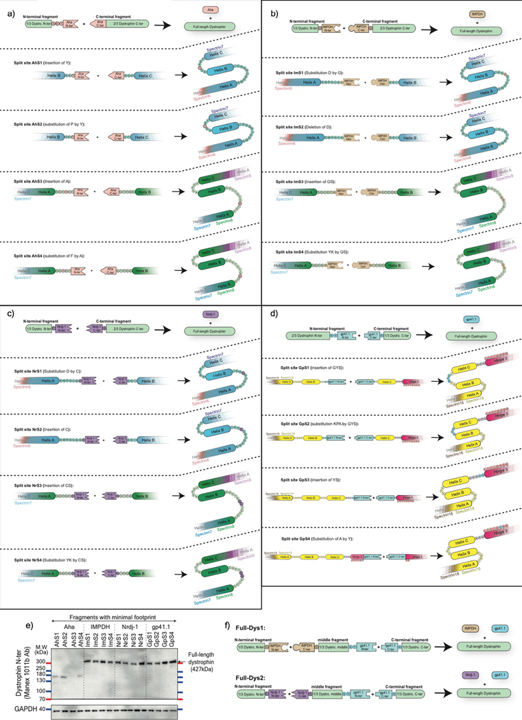 Extended Data Fig. 4: