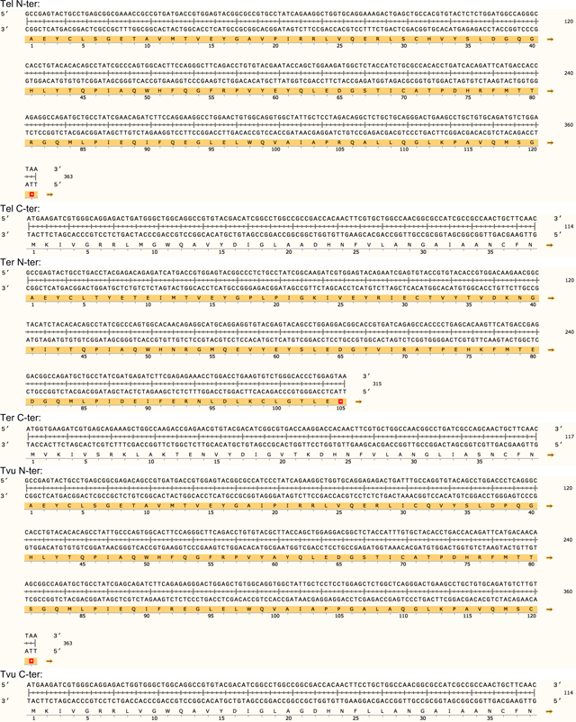 graphic file with name nihms-2010712-t0023.jpg