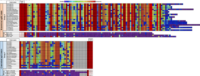 graphic file with name nihms-2010712-t0017.jpg