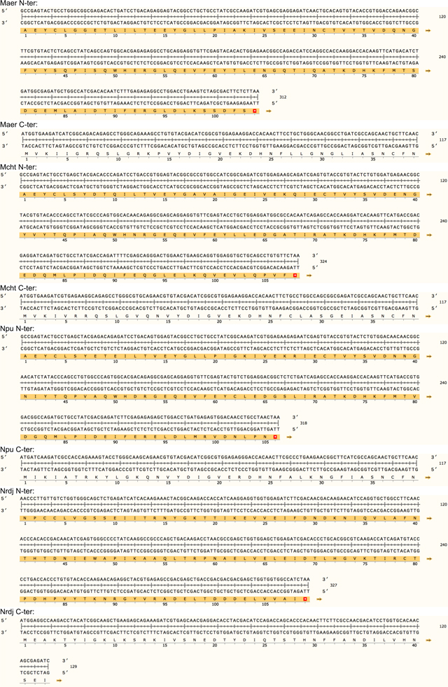 graphic file with name nihms-2010712-t0021.jpg