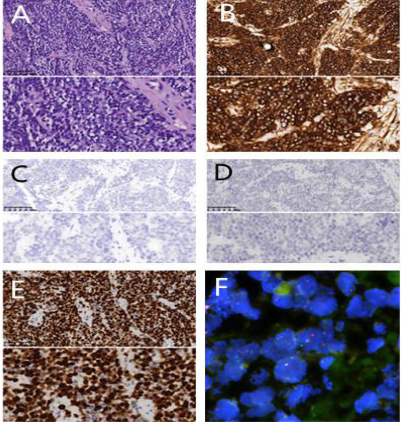 Figure 3