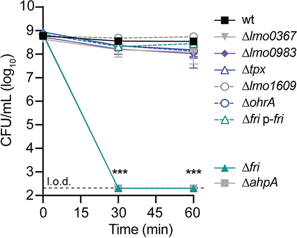 FIG 4